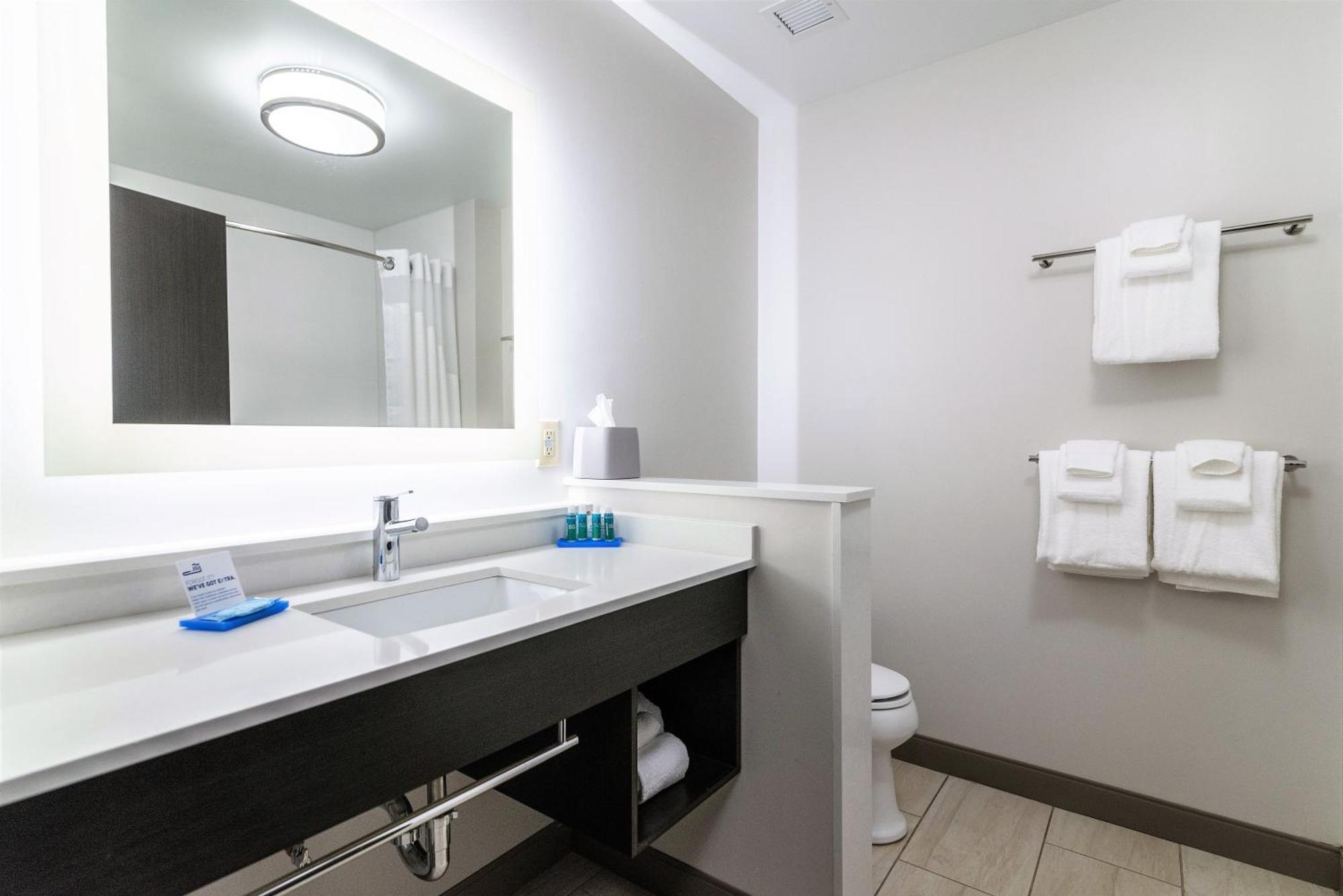Holiday Inn Express & Suites Allen Park By Ihg Εξωτερικό φωτογραφία